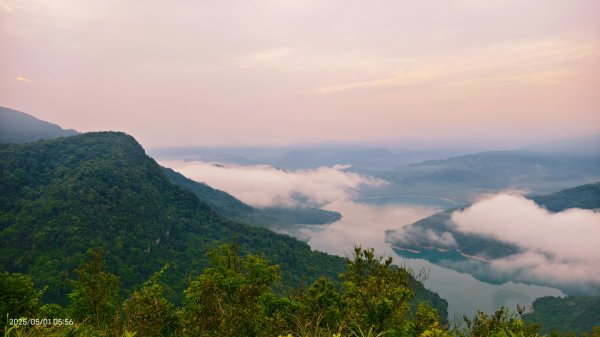 翡翠水庫壩頂 #火燒雲雲海 #日出雲海 #鱷魚島 #藍腹鷴 4/292773790