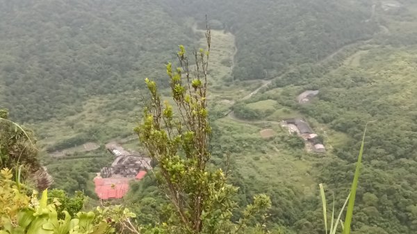 雙溪區豎旗山北稜線-豎旗山-豎旗山南峰-烏山尖-鄒家古厝-保成坑口站O型