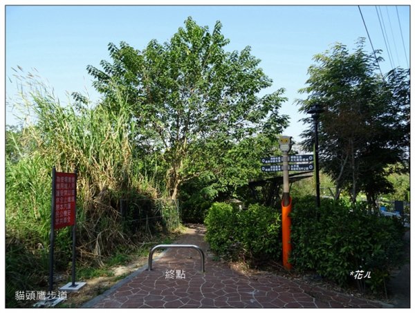 貓頭鷹步道(台中、太平)1585682