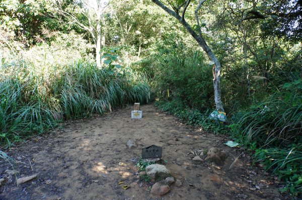 新竹 五峰 鵝公髻山2916840