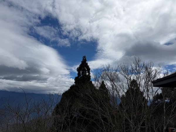 1150301溪頭天文台步道3008331