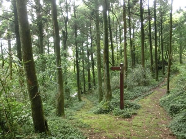 環七星山人車分道１封面