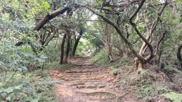 楊梅區龜山頭山-福人步道-莊迷湖-保甲路古道-東森山林森林步道-福人步道3074663