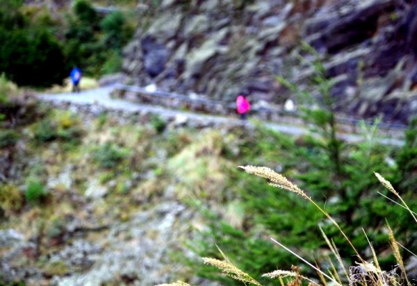 山風15度C吹拂 ~ 合歡溪 步道1551780