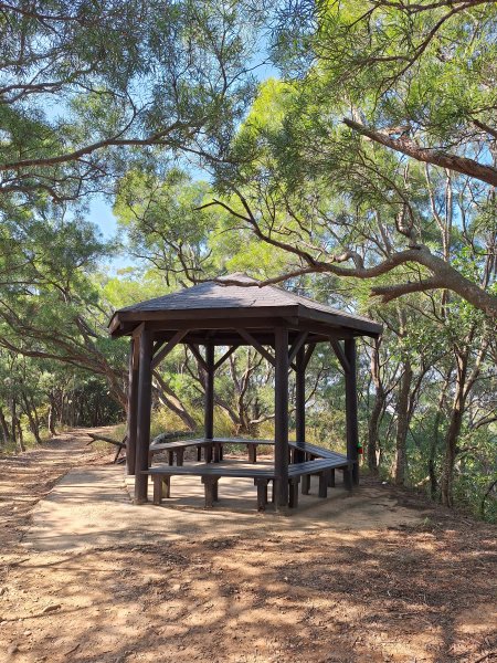 大肚環保公園步道+大尖山+萬里長城步道萬里長城步道202512072956509