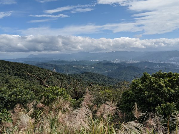 碧山 梅花山 五指山 帕米爾公園1161263