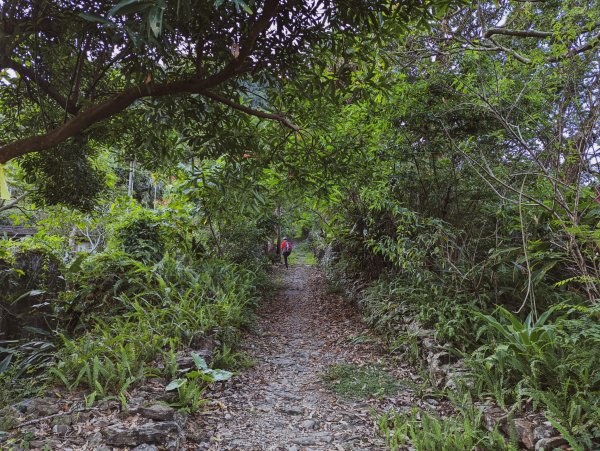 【三地、舊達來】獵人不走的路 - 田良井1514711