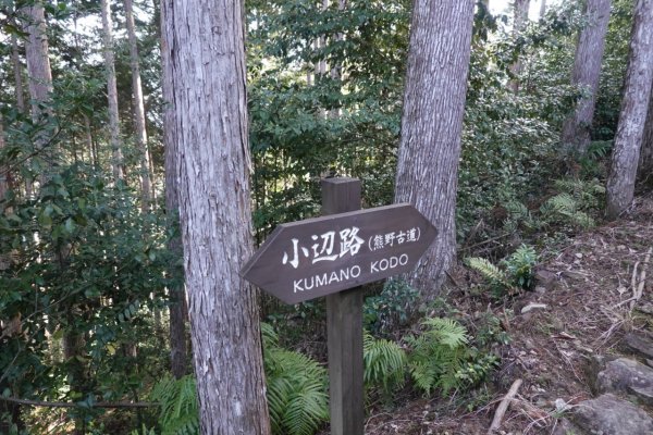 熊野古道小邊路.熊野三山2485494