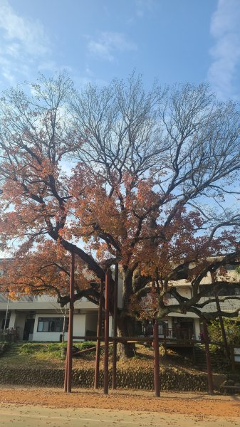 2026-0118新竹新埔文山步道