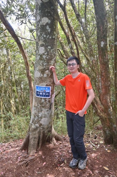 中級山-高島縱走2888369