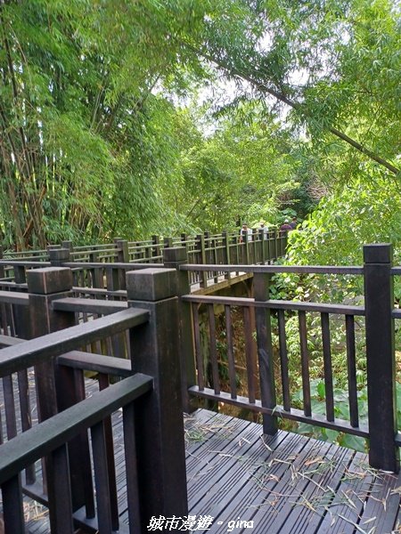 【台中烏日】S型的水圳步道古樸優美。 知高圳步道、雪蓮步道、學田山2874940