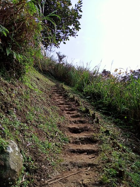 【小百岳集起來】落英繽紛、視野遼闊基隆山1293337