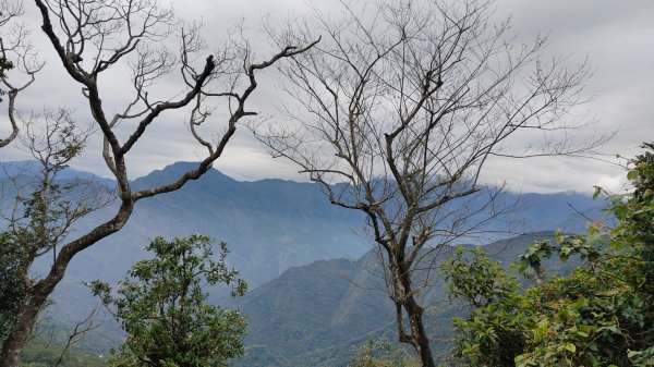 笠頂山單攻西大武山(西北峰) 九星連珠搏命演出歷險記 2025年3月20日2738998