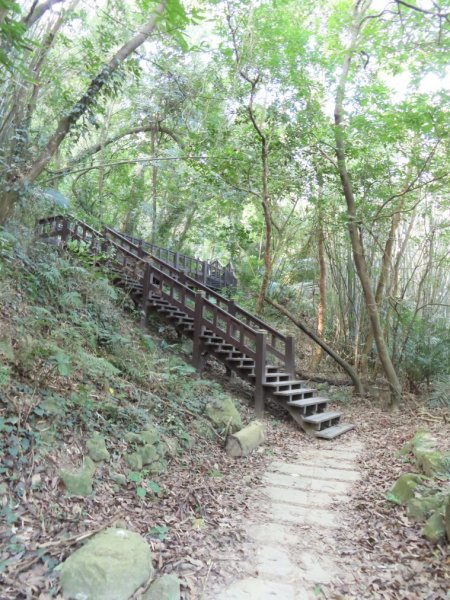 泰安登山步道‧隘勇古道‧巡圳道O形輕鬆走2007516