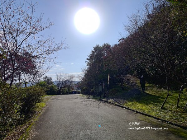 【新北】二格山步道：半小時登頂坐擁大台北2805180