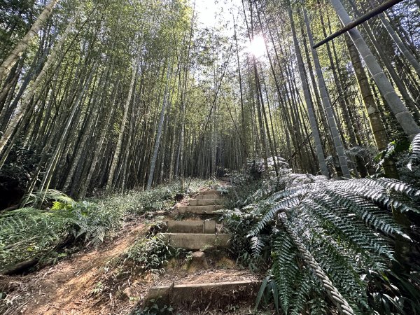 1111001水社大山半日遊1866032