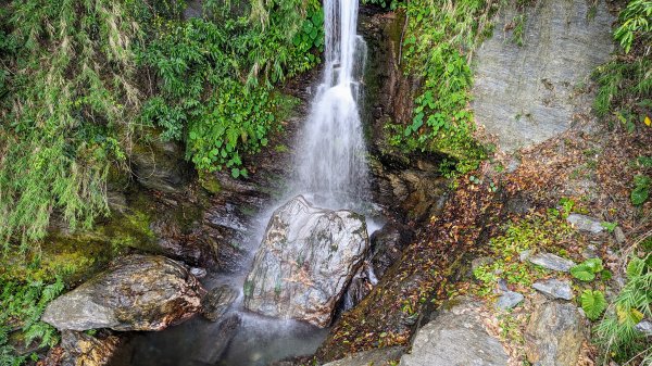 瓦拉米步道,富里花海,池上大池2467055