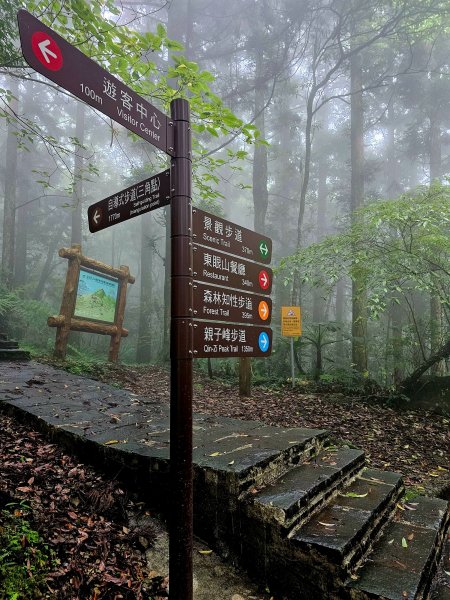 小百岳集起來-東眼山2181451