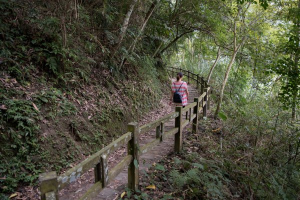 梅山鄉-竹坑溪步道訪龍宮瀑布1112378