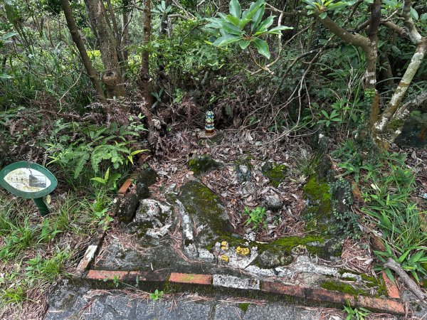 內湖鯉魚山之旅2811738