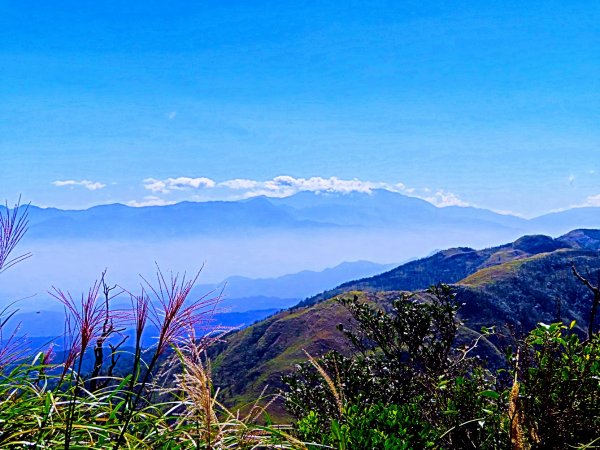 走聖母與三角崙山步道 再探神級抹茶山698560