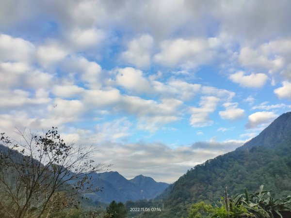 松鶴上八仙山1923299