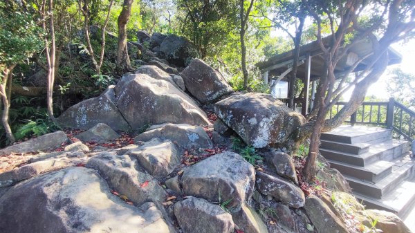 西湖捷運站-金面山-大崙頭山-圓覺-大湖公園捷運站2588700