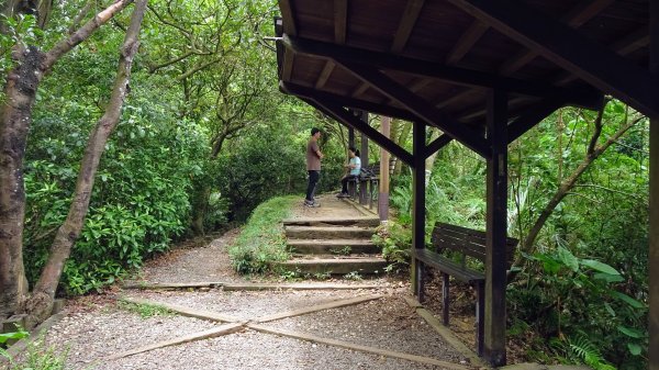 福州山,中埔山,黎和生態公園2234141