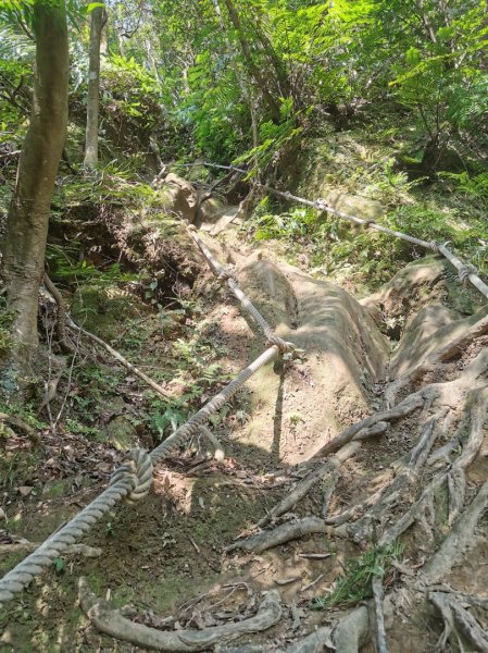 猴山岳萬壽路登山口-猴山岳-林家草厝-猴山岳山腰路-泰元農場 踽踽獨行之二2720843