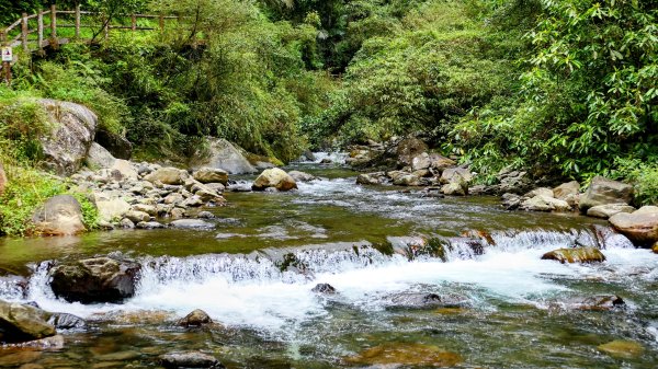 九寮溪自然步道2826886