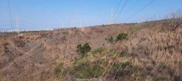 《台中》短暫暖陽｜龍井竹坑南寮步道O繞202601042976419