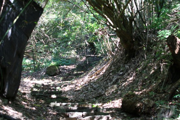 紗帽山_橫嶺古道O型857965