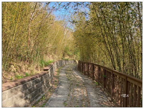 老崎古道、老崎坪頂山 (頭份)2737201