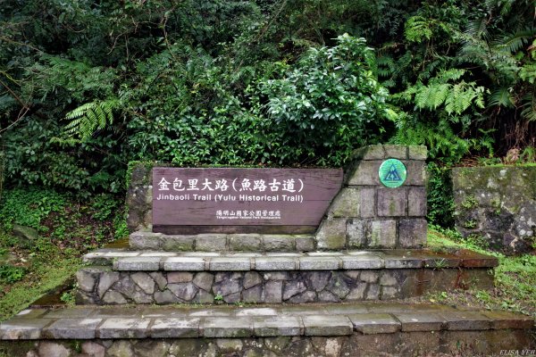 魚路古道連走七星山803464