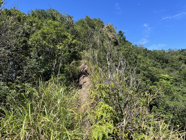 [微笑山線_第九段] 2025_0914 二格山系_皇帝殿東峰2889512