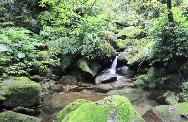 菁桐古道-磐石嶺古道2799100