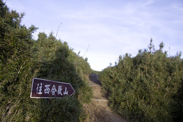 2018.08.12合歡西峰封面