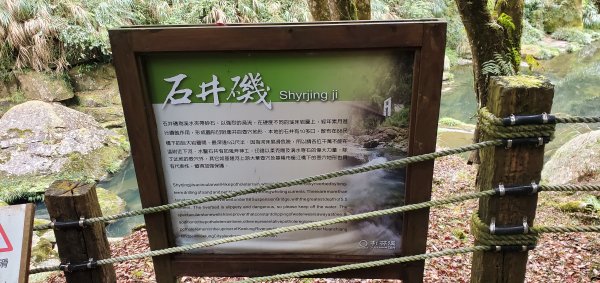 2023-01-01杉林溪青龍蕨類步道(青龍瀑布)、松瀧岩瀑布及天地眼步道1978857