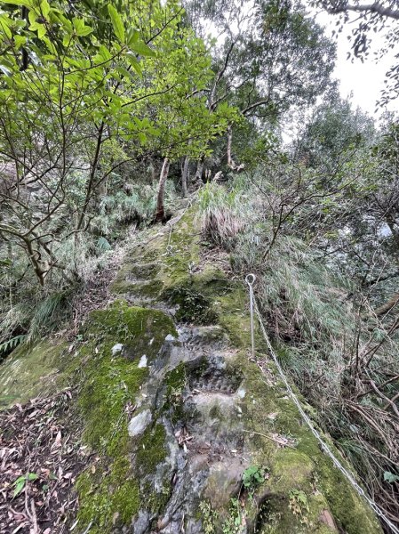 微笑山線/五分山系3013333