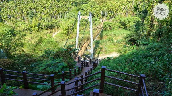 阿里山山脈越嶺步道大串走D1543654