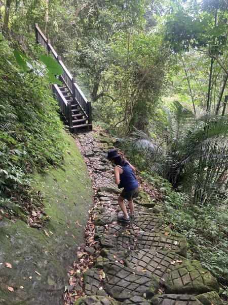 五指山橫向步道2569525