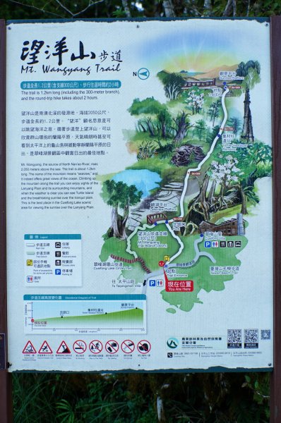 宜蘭 大同 望洋山、翠峰湖步道、山毛櫸步道2880715