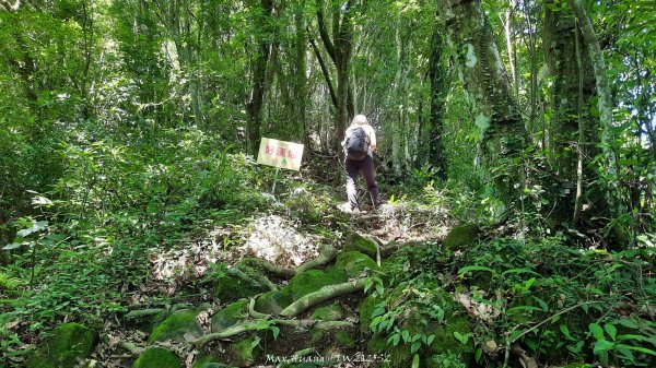 《新竹》沒那簡單｜關西赤柯山東獅頭山步道O繞202506152813518
