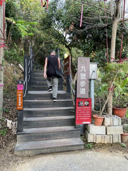 大坑9-1號步道2732242