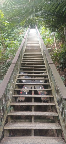 紅毛埤山+蘭潭.嘉市東區2961226