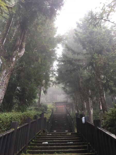 太平山檜木原始林步道封面