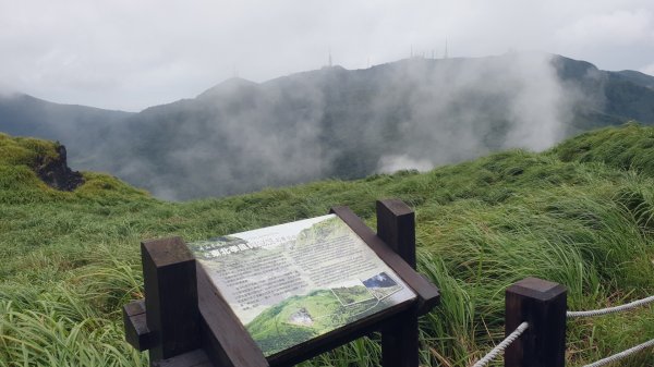 收集小百岳 002 台北七星山 20210801(一)1792558
