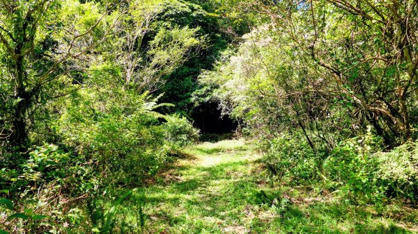 中坑古道東山西山2896472