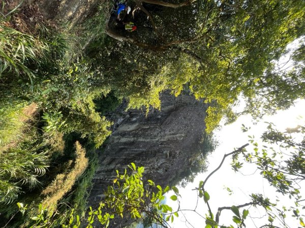 20230916_五寮尖2762659