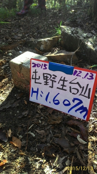 20151213尖石鄉屯野台山石麻達山